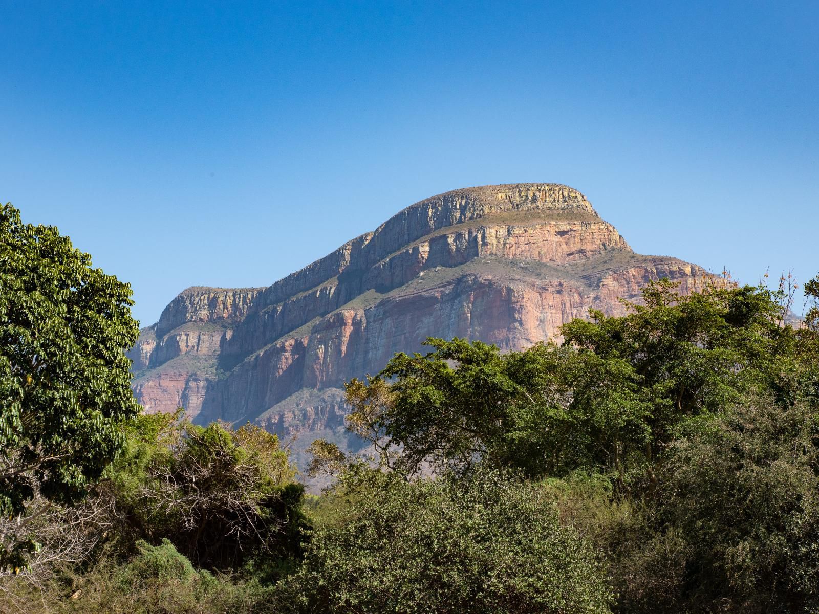 Blyde River Canyon Lodge Hoedspruit Limpopo Province South Africa Complementary Colors, Nature