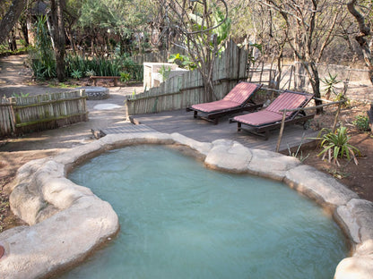 Blyde River Canyon Lodge Hoedspruit Limpopo Province South Africa Garden, Nature, Plant, Swimming Pool