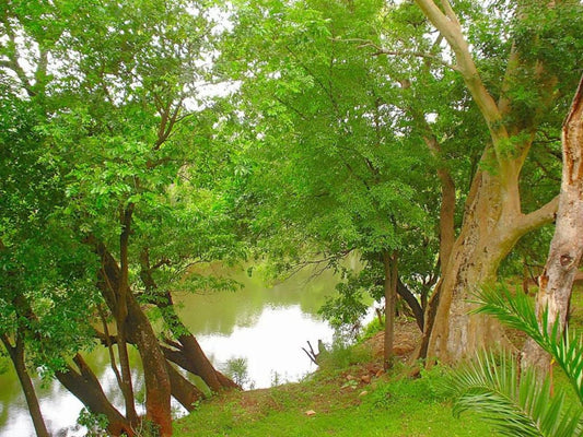 Blyde River Wilderness Lodge Blyde River Canyon Mpumalanga South Africa Colorful, Forest, Nature, Plant, Tree, Wood, River, Waters