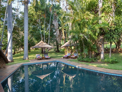 Blyde River Wilderness Lodge Blyde River Canyon Mpumalanga South Africa Palm Tree, Plant, Nature, Wood, Swimming Pool