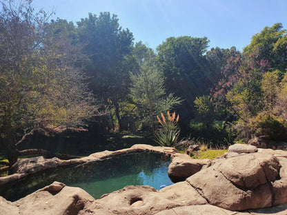 Blyde River Wilderness Lodge Blyde River Canyon Mpumalanga South Africa Complementary Colors, Garden, Nature, Plant