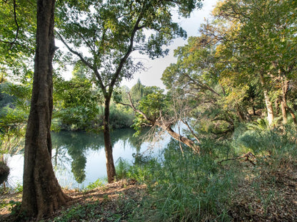 Blyde River Wilderness Lodge Blyde River Canyon Mpumalanga South Africa Forest, Nature, Plant, Tree, Wood, River, Waters