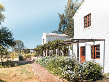 Boerfontein Paarl Farms Paarl Western Cape South Africa Complementary Colors, Building, Architecture, House