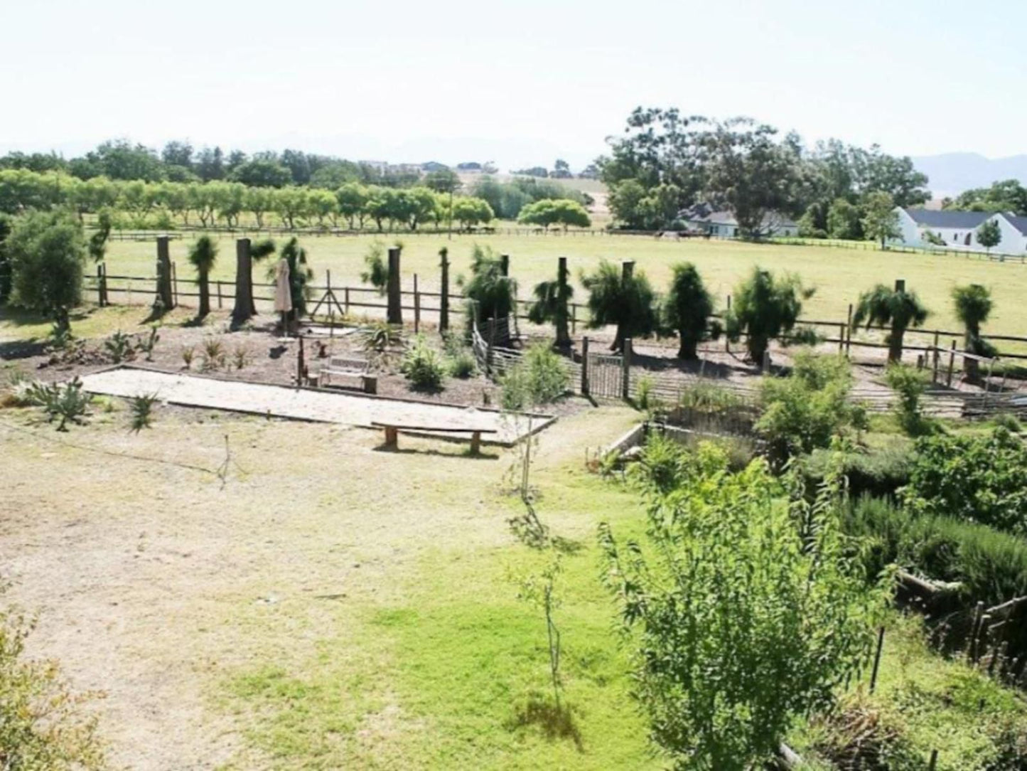 Boerfontein Paarl Farms Paarl Western Cape South Africa Field, Nature, Agriculture, Garden, Plant