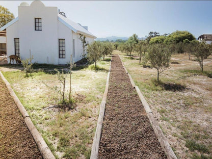 Boerfontein Paarl Farms Paarl Western Cape South Africa House, Building, Architecture