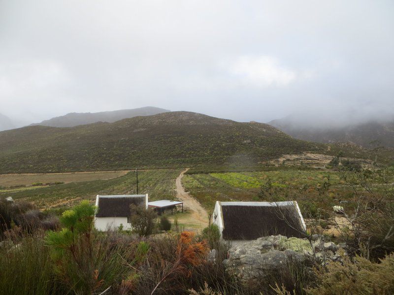 Boesmanskloof Accommodation Die Galg Boesmanskloof Mcgregor Western Cape South Africa Highland, Nature