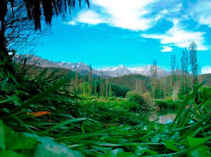 Boesmanskop Farm Accommodation Calitzdorp Western Cape South Africa Colorful, Nature