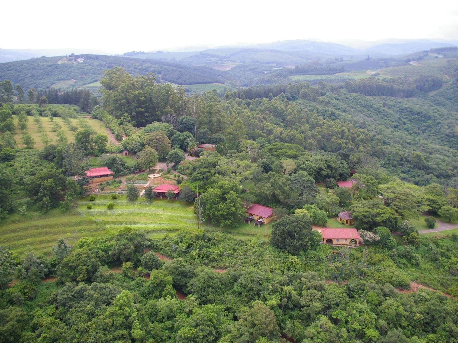 Bohm S Zeederberg Country House Hazyview Mpumalanga South Africa Forest, Nature, Plant, Tree, Wood, Aerial Photography, Highland