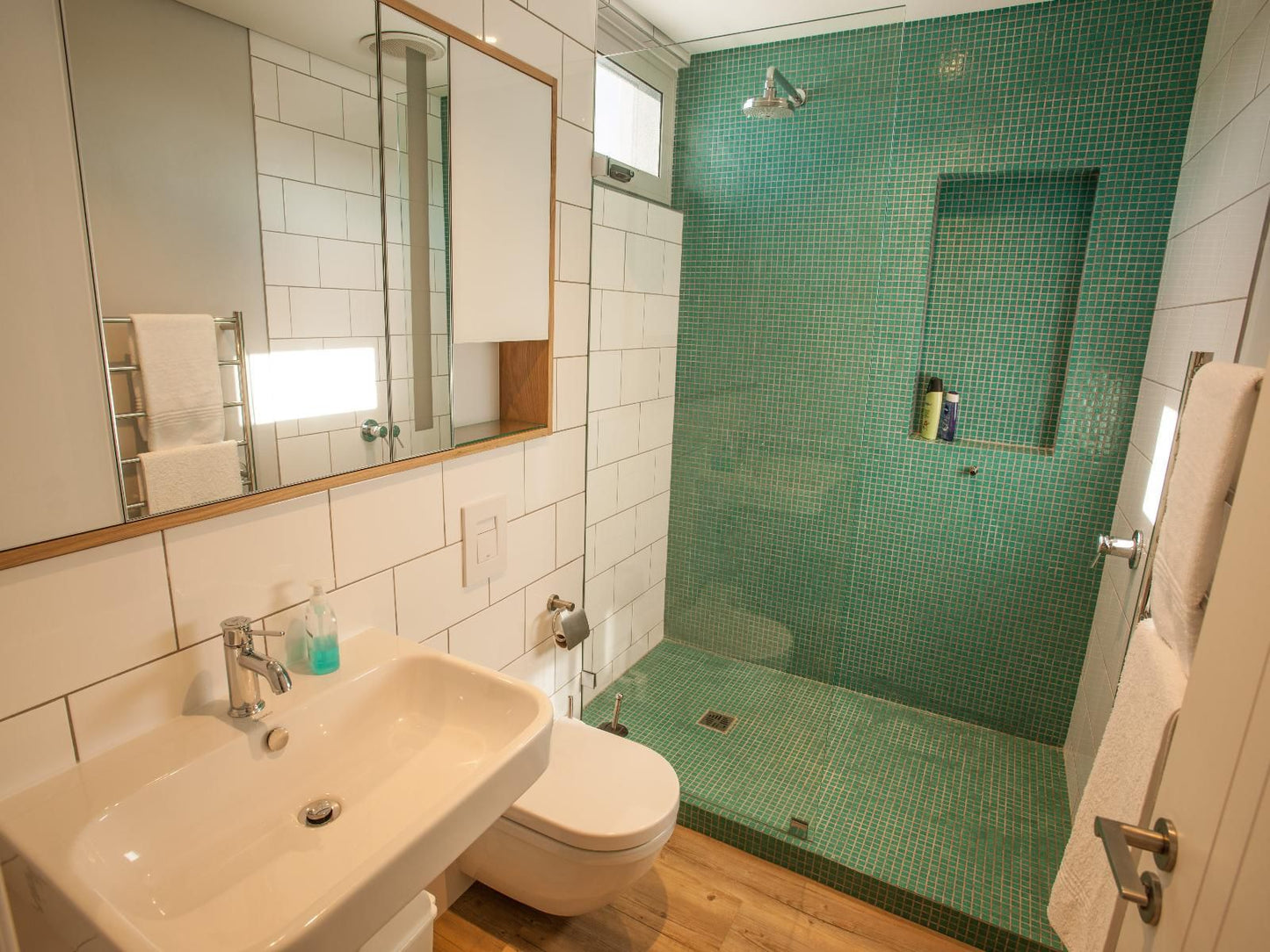 Bokkombaai Tides Bloubergstrand Blouberg Western Cape South Africa Bathroom