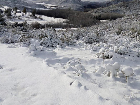 Bo Kouga Mountain Retreat Uniondale Western Cape South Africa Colorless, Mountain, Nature, Snow, Winter, Winter Landscape