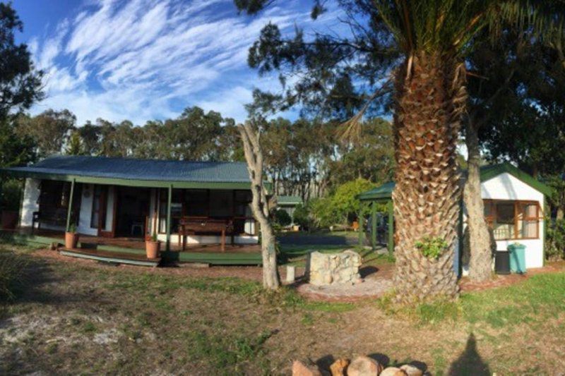 Bokram Place Kommetjie Cape Town Western Cape South Africa Complementary Colors, Palm Tree, Plant, Nature, Wood