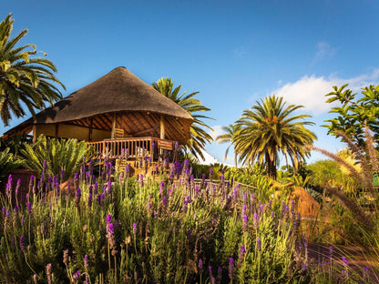 Bolivia Lodge Polokwane Pietersburg Limpopo Province South Africa Complementary Colors, Colorful, Palm Tree, Plant, Nature, Wood, Garden