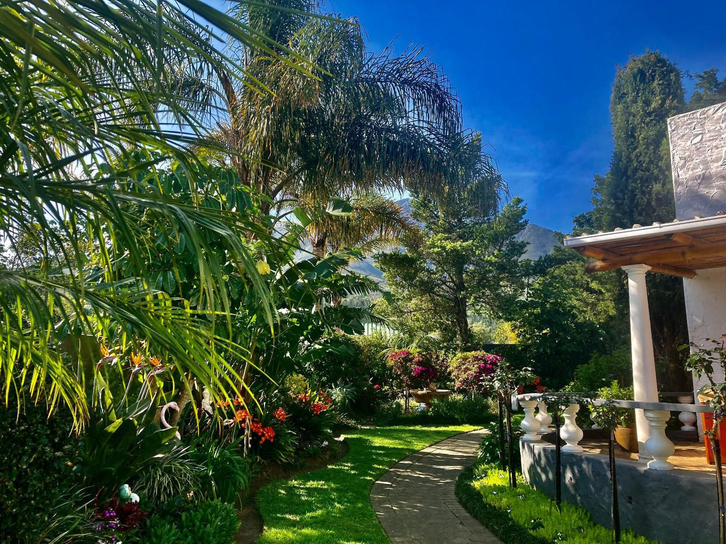 Bollinger Guesthouse Glen Barrie George Western Cape South Africa Plant, Nature, Garden