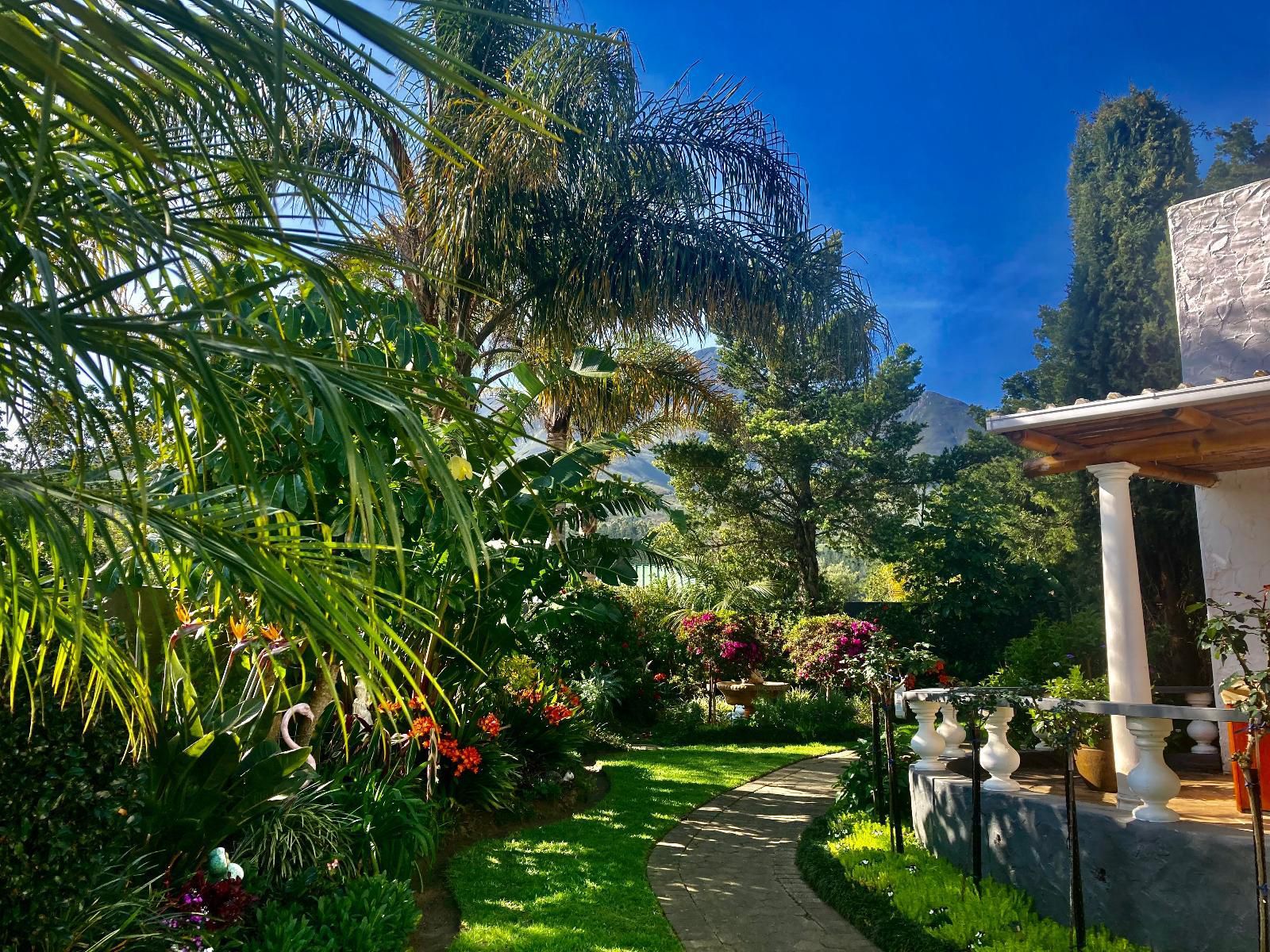 Bollinger Guesthouse Glen Barrie George Western Cape South Africa Plant, Nature, Garden