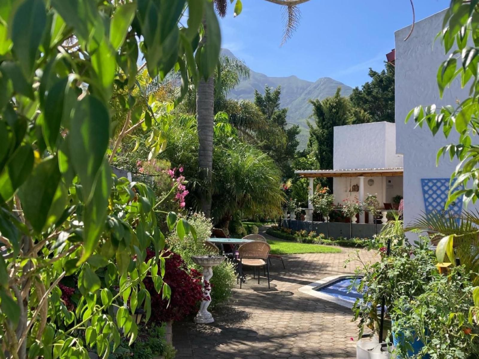 Bollinger Guesthouse Glen Barrie George Western Cape South Africa Palm Tree, Plant, Nature, Wood, Garden