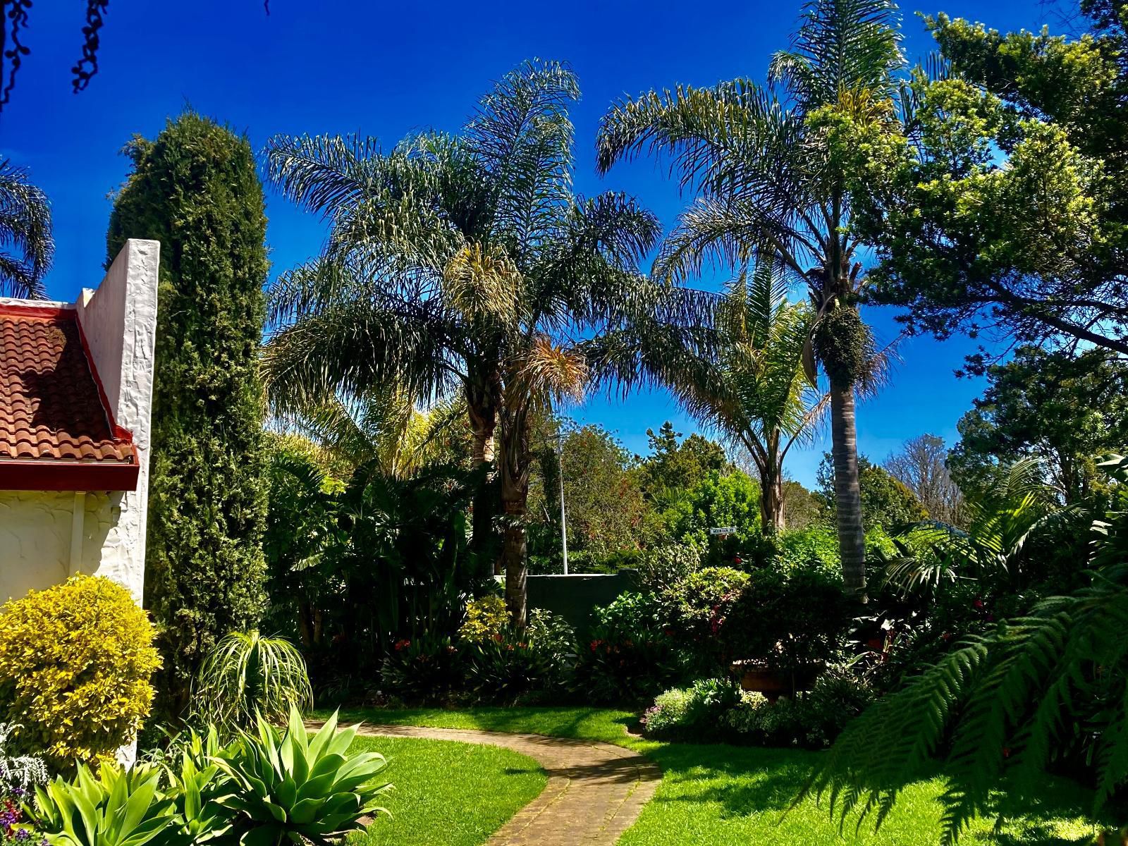 Bollinger Guesthouse Glen Barrie George Western Cape South Africa Complementary Colors, Palm Tree, Plant, Nature, Wood, Garden