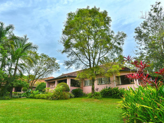 Boma Lodge Durban North Durban Kwazulu Natal South Africa Complementary Colors, House, Building, Architecture, Palm Tree, Plant, Nature, Wood