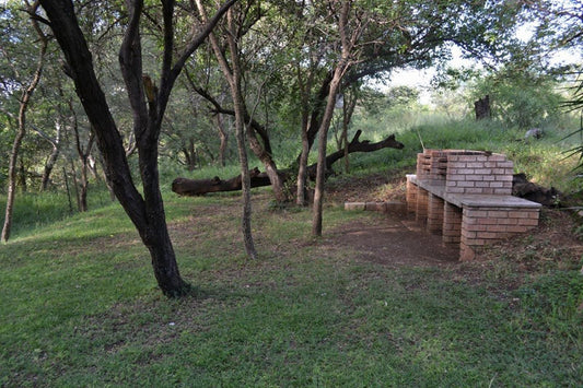 Bonamanzi Guesthouse Burgersfort Limpopo Province South Africa Tree, Plant, Nature, Wood