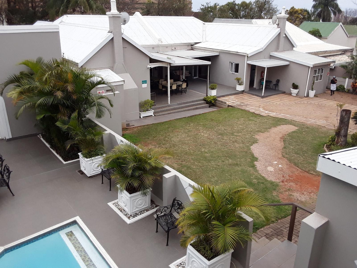 Bon Ami Morningside Durban Kwazulu Natal South Africa House, Building, Architecture, Palm Tree, Plant, Nature, Wood, Swimming Pool