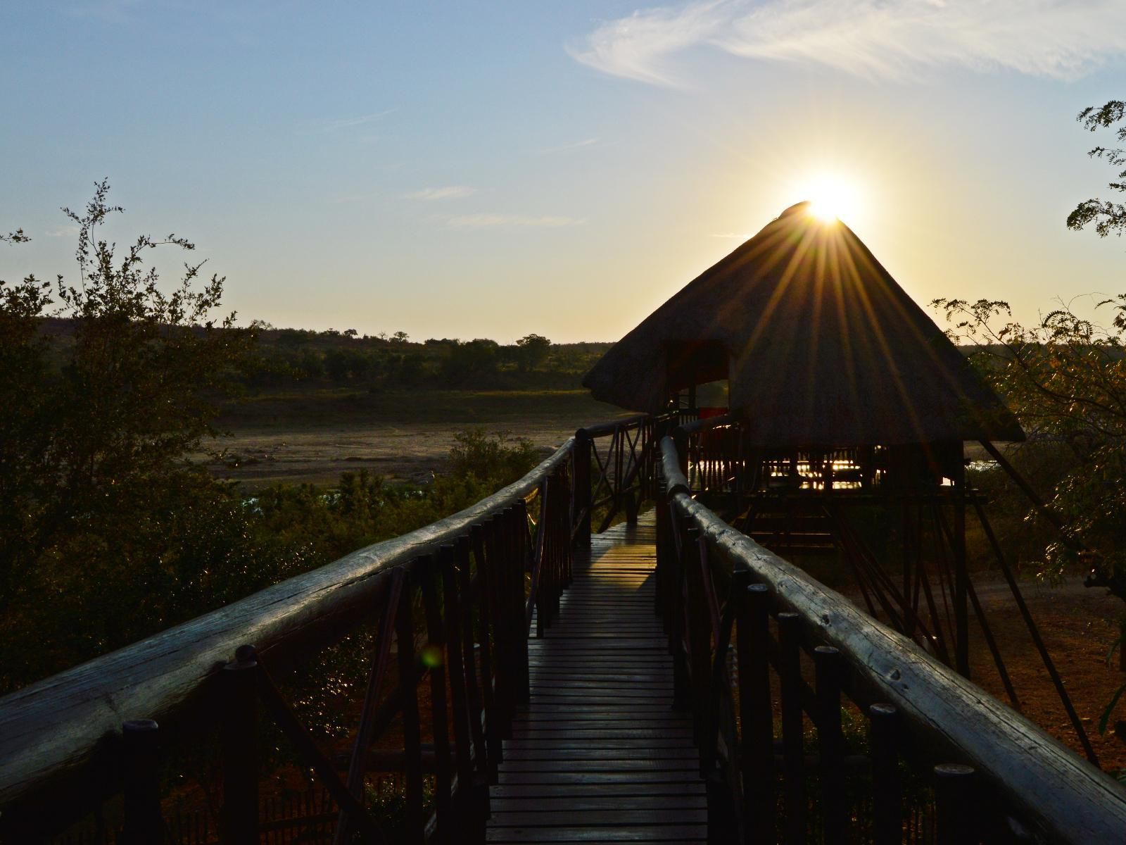 Marloth Park Bona Ngwenya Lodge Marloth Park Mpumalanga South Africa 