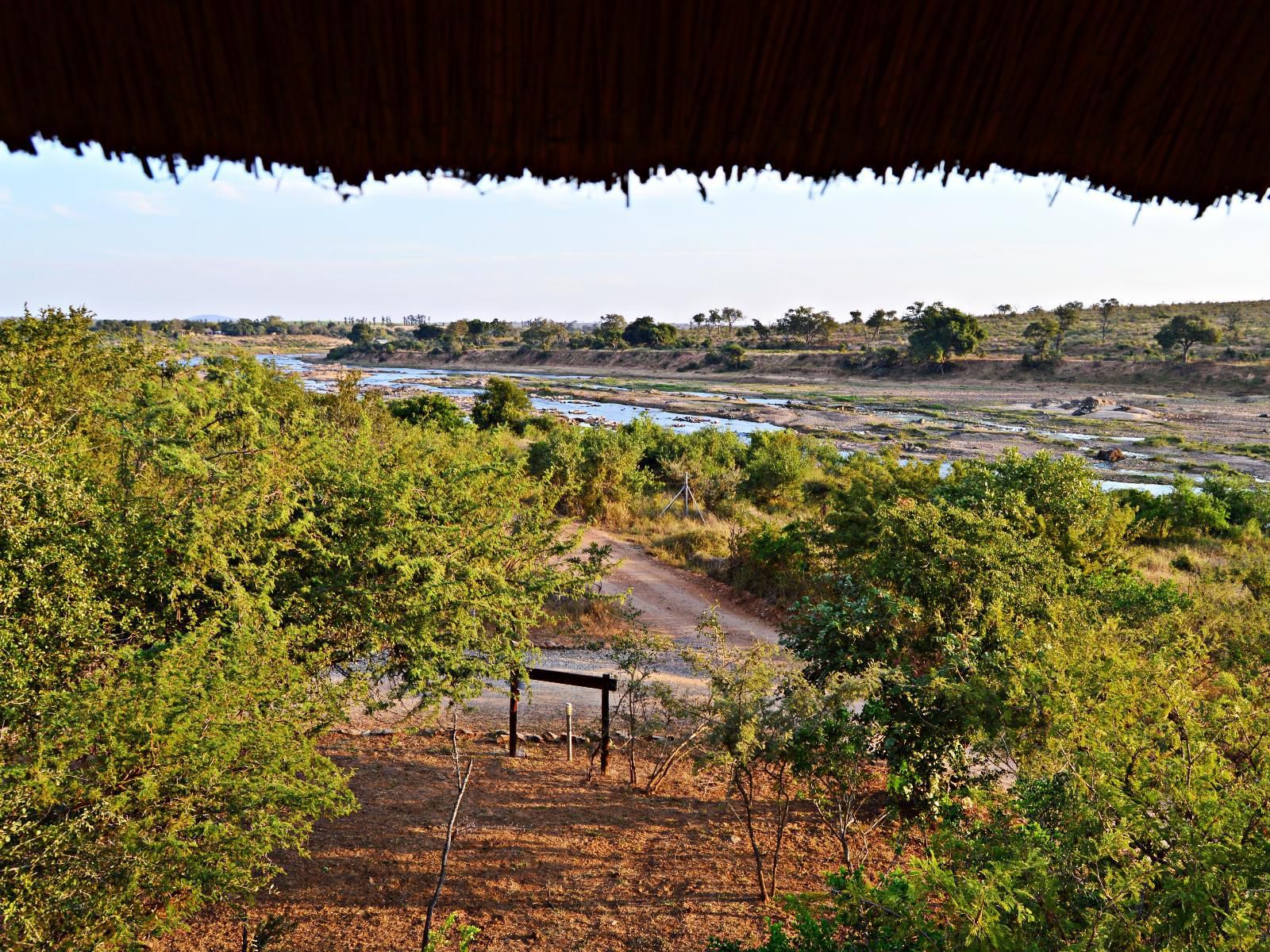 Marloth Park Bona Ngwenya Lodge Marloth Park Mpumalanga South Africa 