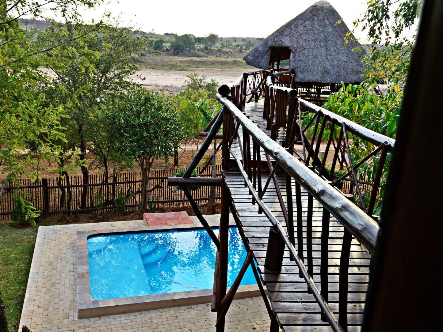 Marloth Park Bona Ngwenya Lodge Marloth Park Mpumalanga South Africa Swimming Pool