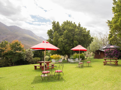 Bonfrutti Farm Bonnievale Western Cape South Africa Highland, Nature