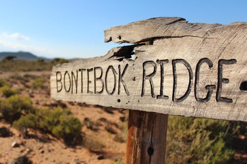 Bontebok Cottage Ladismith Western Cape South Africa Complementary Colors, Sign, Text