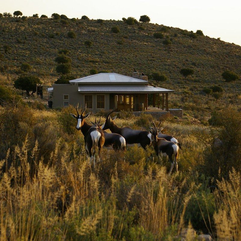 Bontebok Cottage Ladismith Western Cape South Africa Sepia Tones