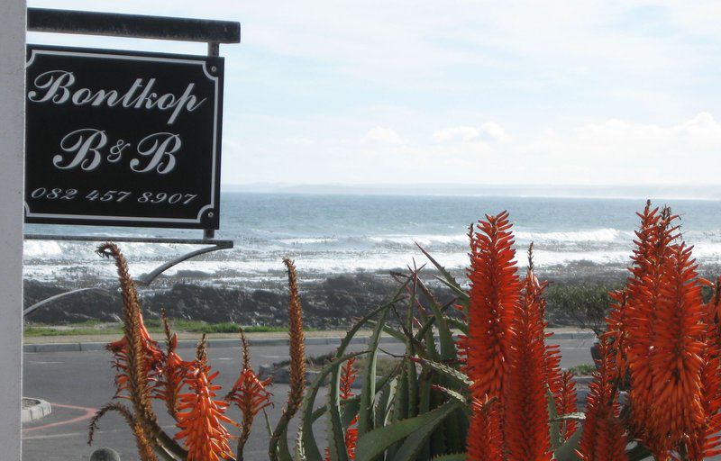 Bontkop Melkbosstrand Cape Town Western Cape South Africa Beach, Nature, Sand