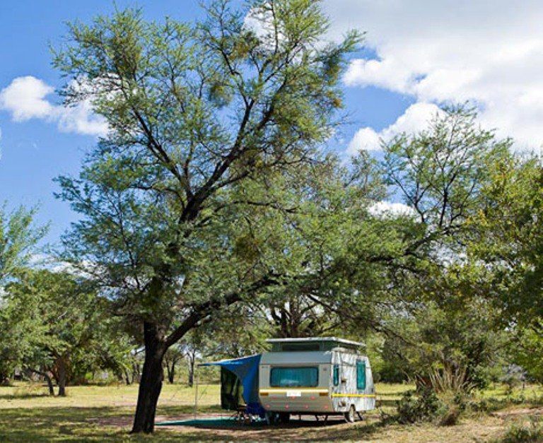 Bontle Rest Camp Marakele National Park Sanparks Marakele National Park Limpopo Province South Africa Complementary Colors, Tree, Plant, Nature, Wood