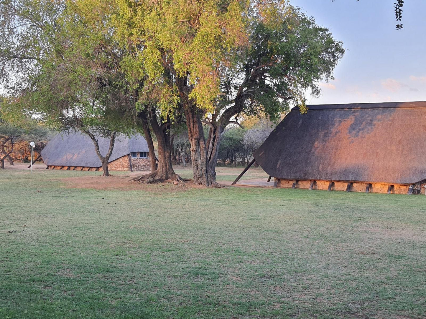 Bonwa Phala Game Lodge Bela Bela Warmbaths Limpopo Province South Africa 