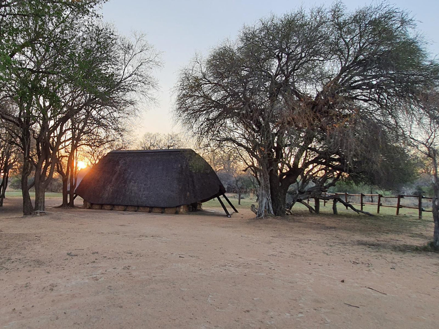 Bonwa Phala Game Lodge Bela Bela Warmbaths Limpopo Province South Africa Desert, Nature, Sand