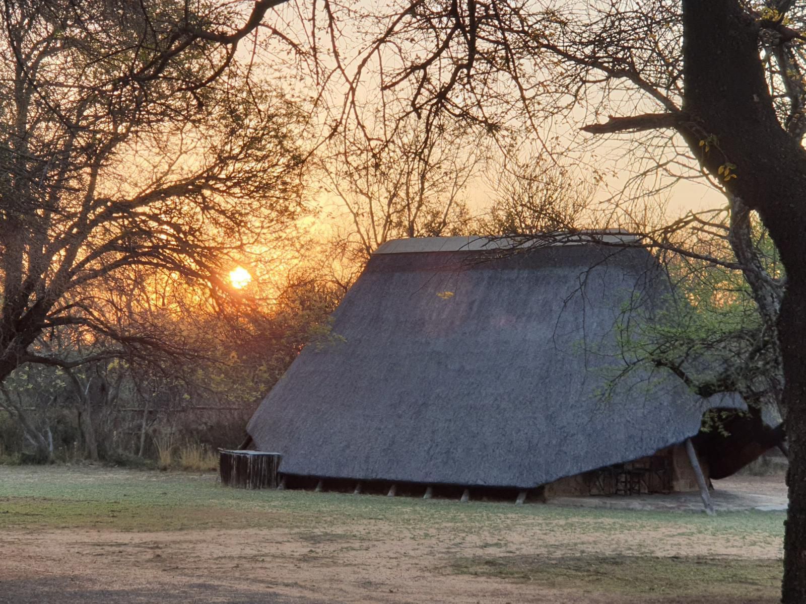 Bonwa Phala Game Lodge Bela Bela Warmbaths Limpopo Province South Africa Barn, Building, Architecture, Agriculture, Wood