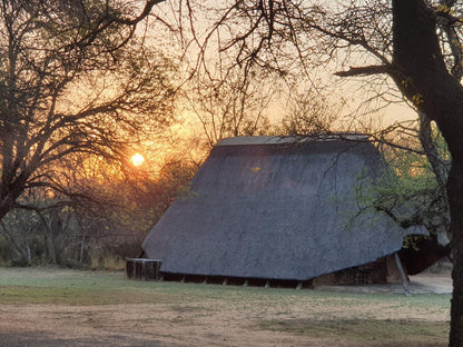 Bonwa Phala Game Lodge Bela Bela Warmbaths Limpopo Province South Africa Barn, Building, Architecture, Agriculture, Wood