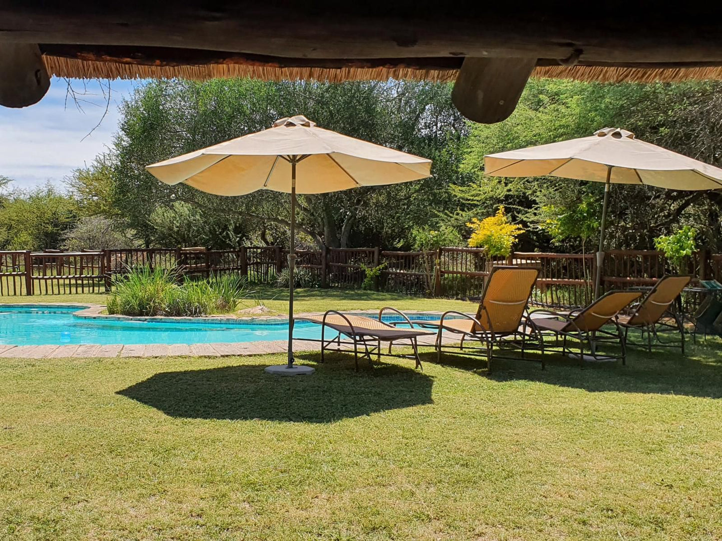 Bonwa Phala Game Lodge Bela Bela Warmbaths Limpopo Province South Africa Swimming Pool