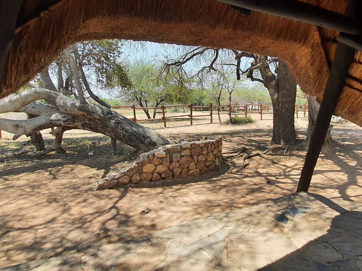 Bonwa Phala Game Lodge Bela Bela Warmbaths Limpopo Province South Africa Desert, Nature, Sand, Framing