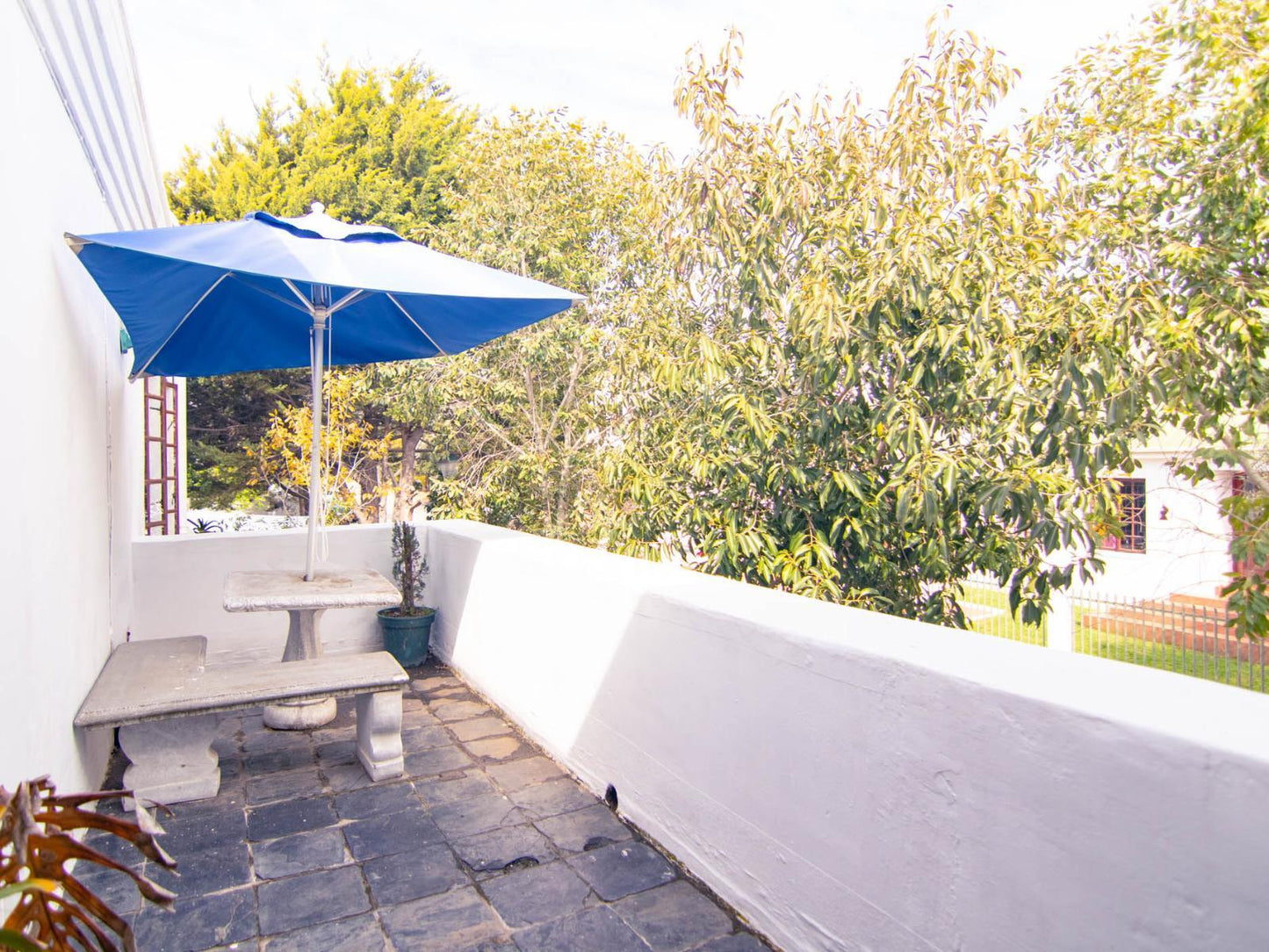 Superior Executive Suite - Park View @ Boord Guest House Stellenbosch
