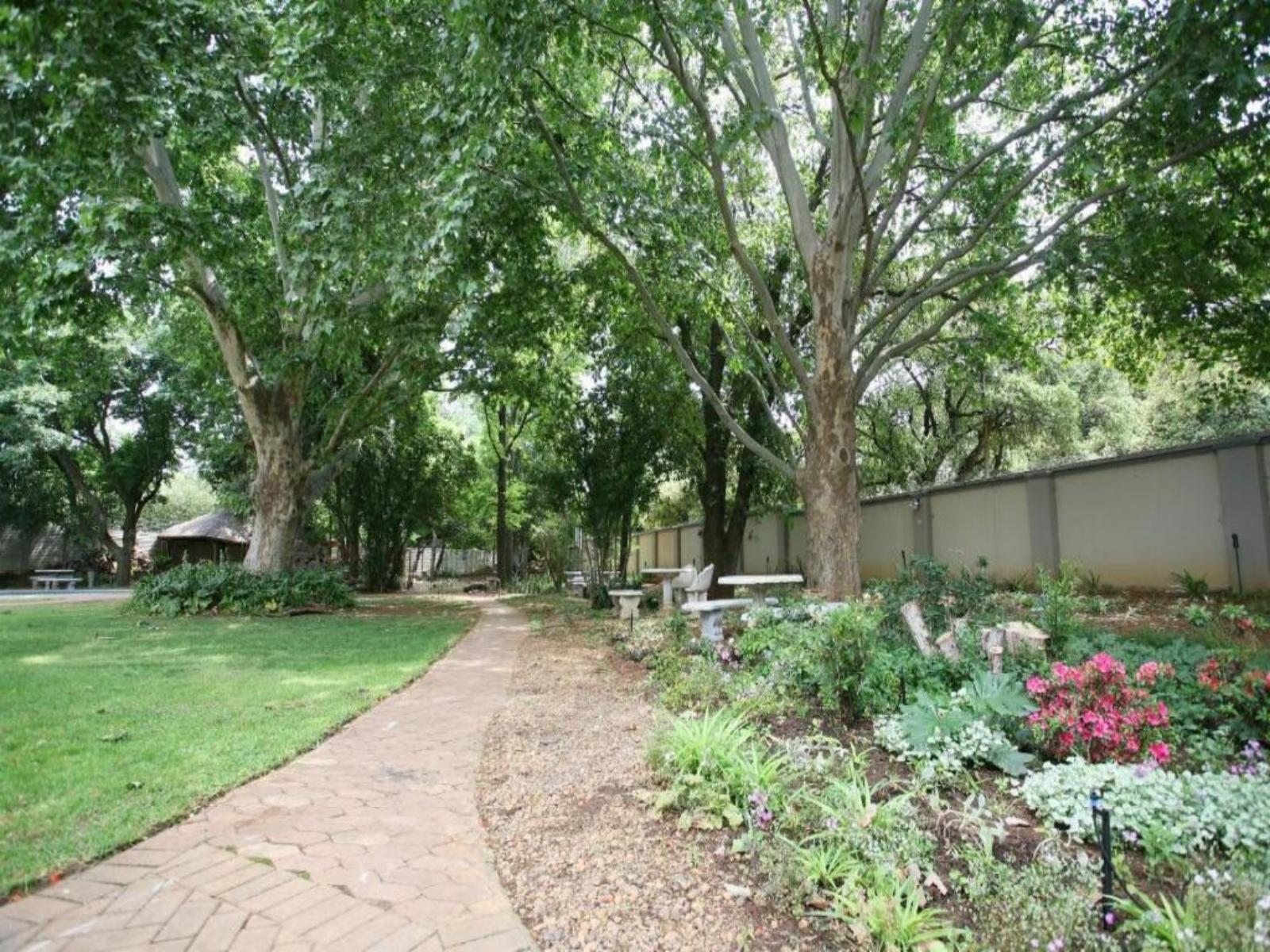 Bordeaux Haven Guest House, Plant, Nature, Tree, Wood, Garden