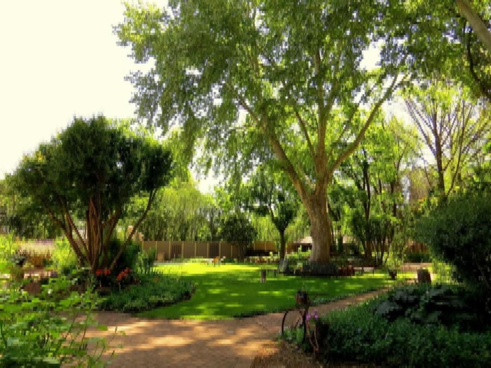 Bordeaux Haven Guest House, Plant, Nature, Tree, Wood, Garden