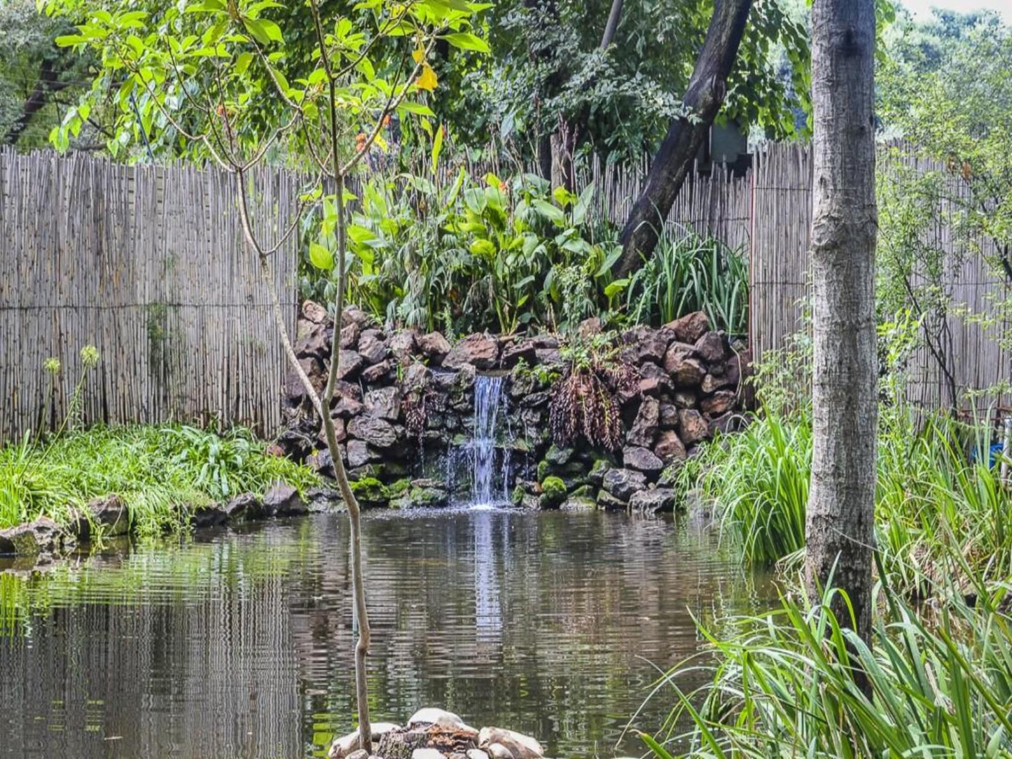 Bordeaux Haven Guest House, River, Nature, Waters, Waterfall, Garden, Plant