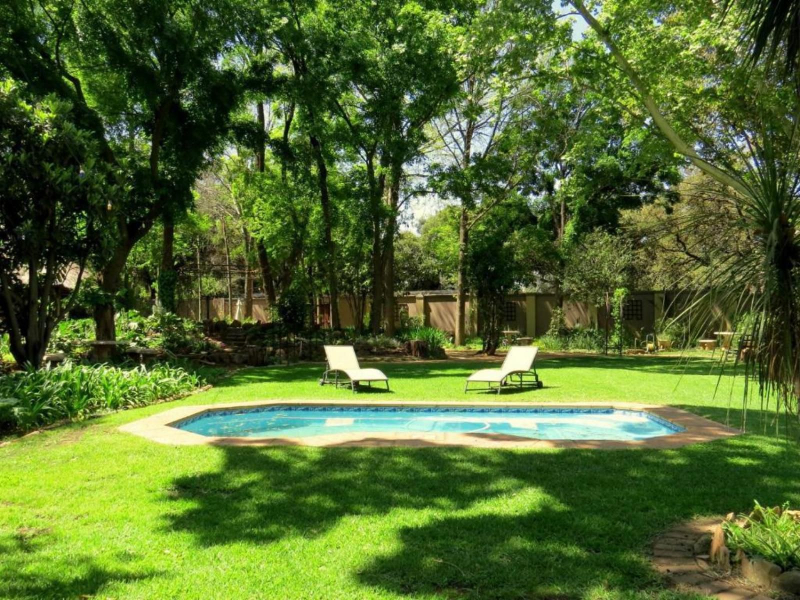 Bordeaux Haven Vereeniging Gauteng South Africa Garden, Nature, Plant, Swimming Pool