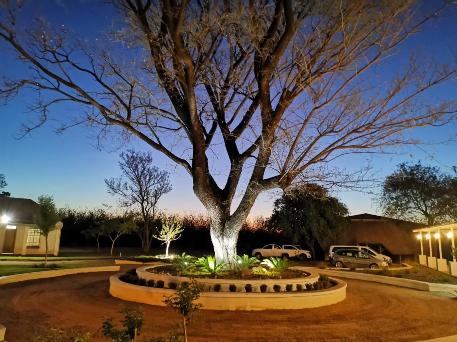 Border Hotel Jan Kempdorp Northern Cape South Africa Complementary Colors, Plant, Nature