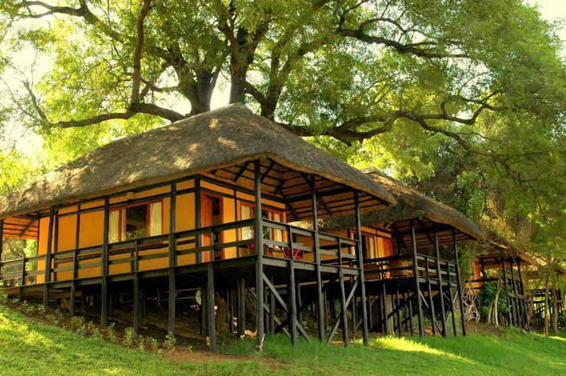 Bosbok Lodge Marakapula Reserve Limpopo Province South Africa 