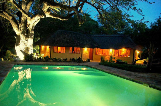 Bosbok Lodge Marakapula Reserve Limpopo Province South Africa House, Building, Architecture, Swimming Pool