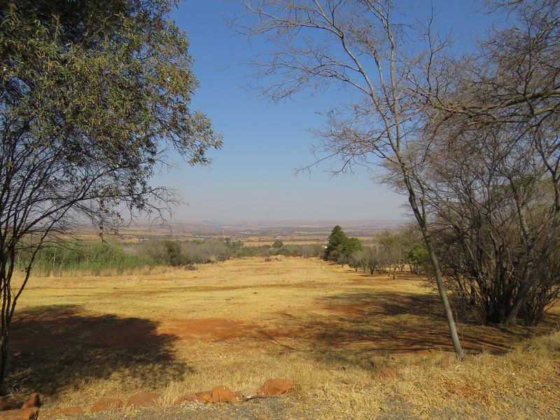 Boschfontein Farm Magalies Meander North West Province South Africa Tree, Plant, Nature, Wood, Lowland