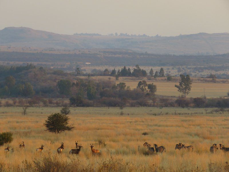 Boschfontein Farm Magalies Meander North West Province South Africa Lowland, Nature