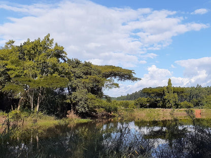 Boschoek Farm Modjadjiskloof Limpopo Province South Africa Complementary Colors, River, Nature, Waters, Tree, Plant, Wood