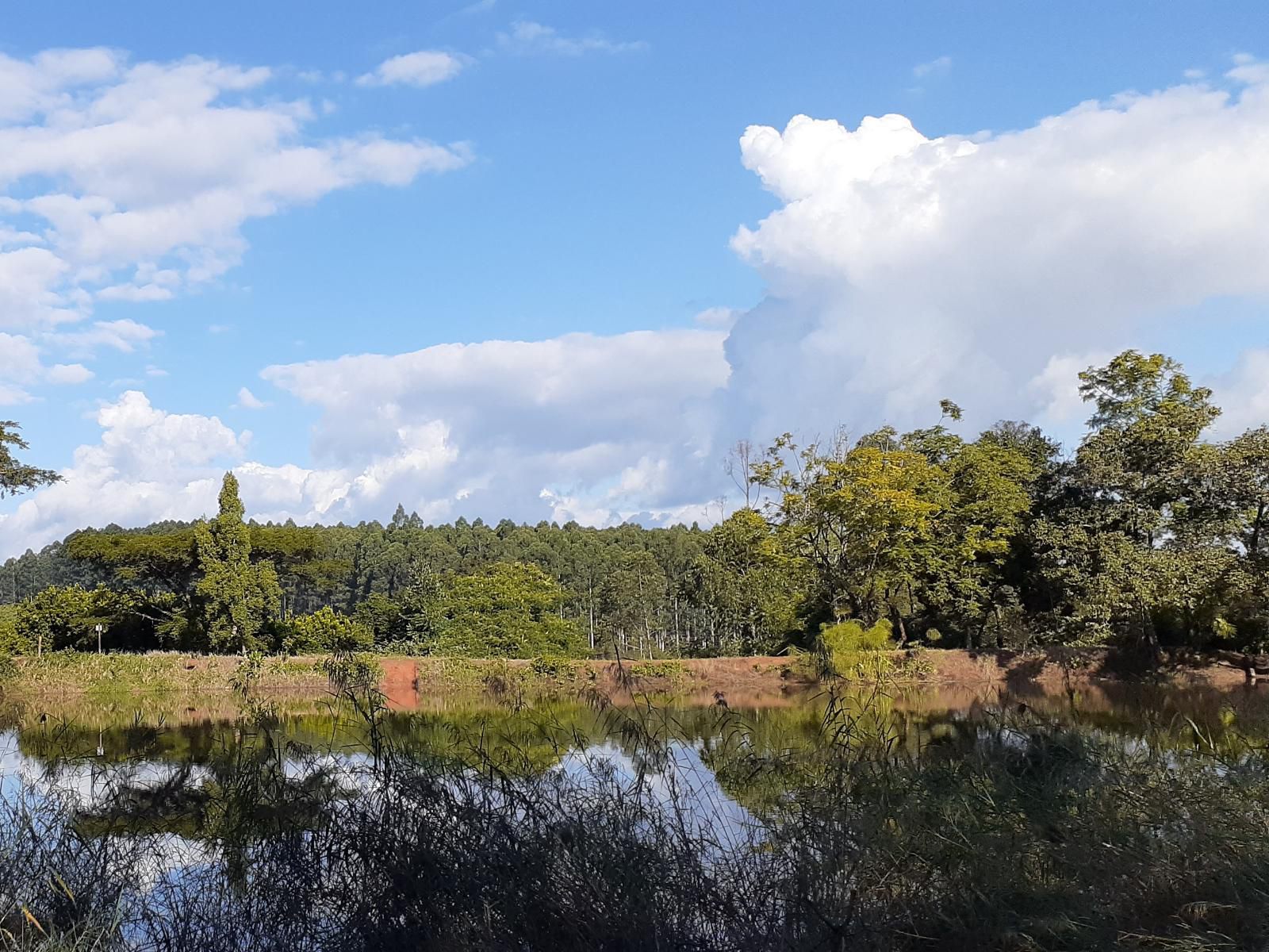 Boschoek Farm Modjadjiskloof Limpopo Province South Africa River, Nature, Waters