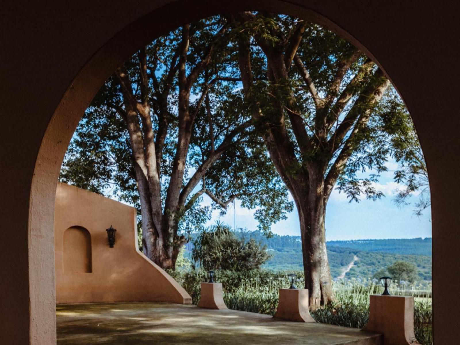 Boschoek Farm Modjadjiskloof Limpopo Province South Africa Framing, Garden, Nature, Plant